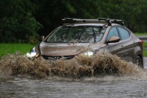 Seal Skin Covers Reviews: A Story of Protection and Progress